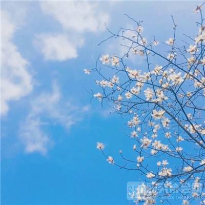 放置江湖2破解版下载